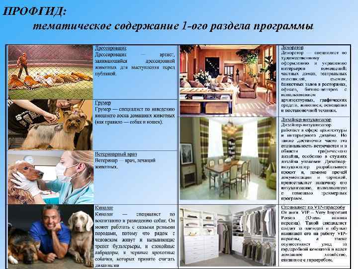 ПРОФГИД: тематическое содержание 1 -ого раздела программы 