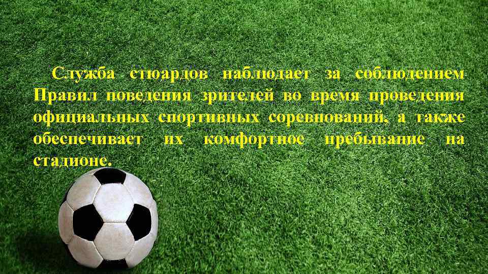 Служба стюардов наблюдает за соблюдением Правил поведения зрителей во время проведения официальных спортивных соревнований,