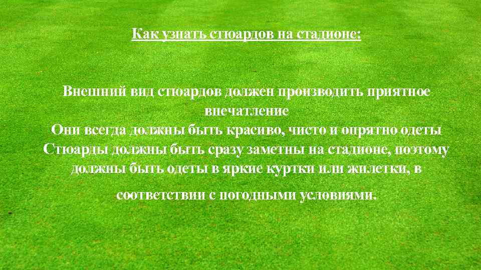 Как узнать стюардов на стадионе: Внешний вид стюардов должен производить приятное впечатление Они всегда