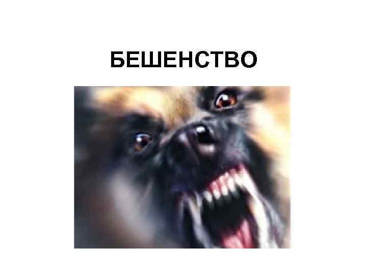 БЕШЕНСТВО 