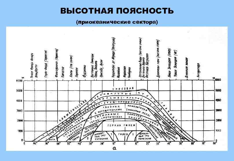 ВЫСОТНАЯ ПОЯСНОСТЬ (приокеанические сектора) 