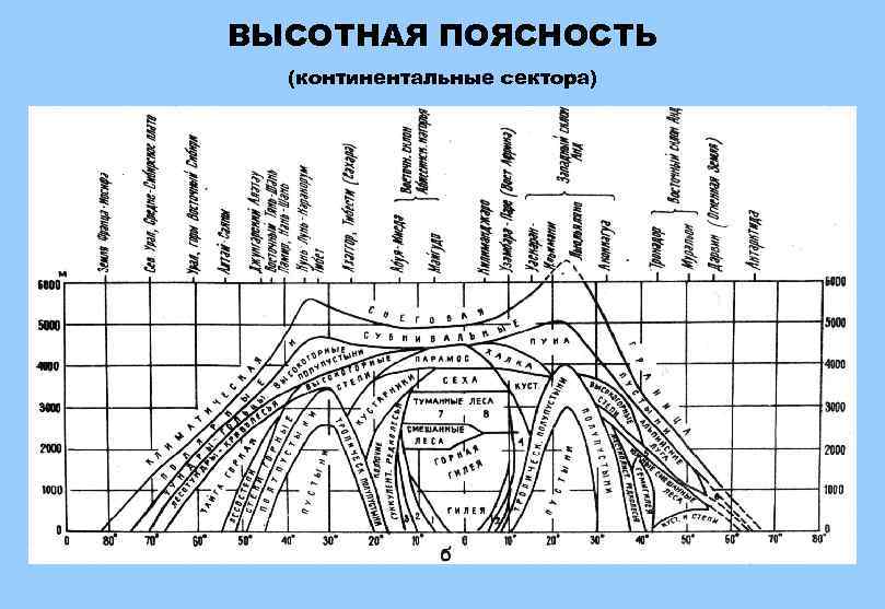 ВЫСОТНАЯ ПОЯСНОСТЬ (континентальные сектора) 