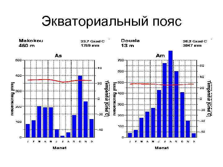 Экваториальный пояс 
