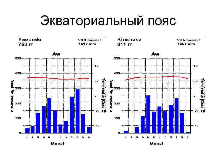 Экваториальный пояс 