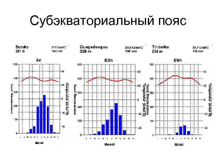 Субэкваториальный пояс 