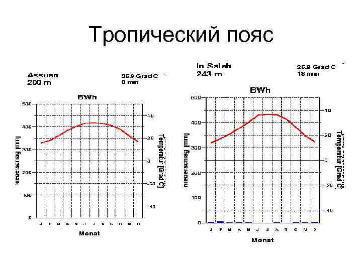 Тропический пояс 