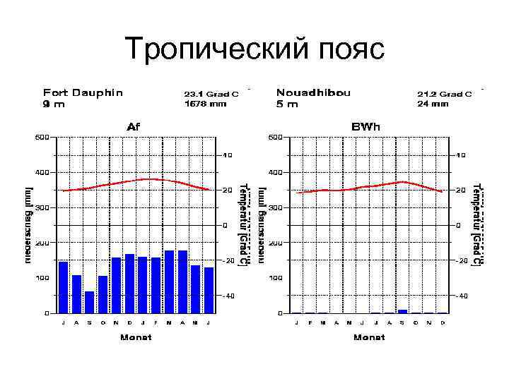 Диаграмма тропического климата