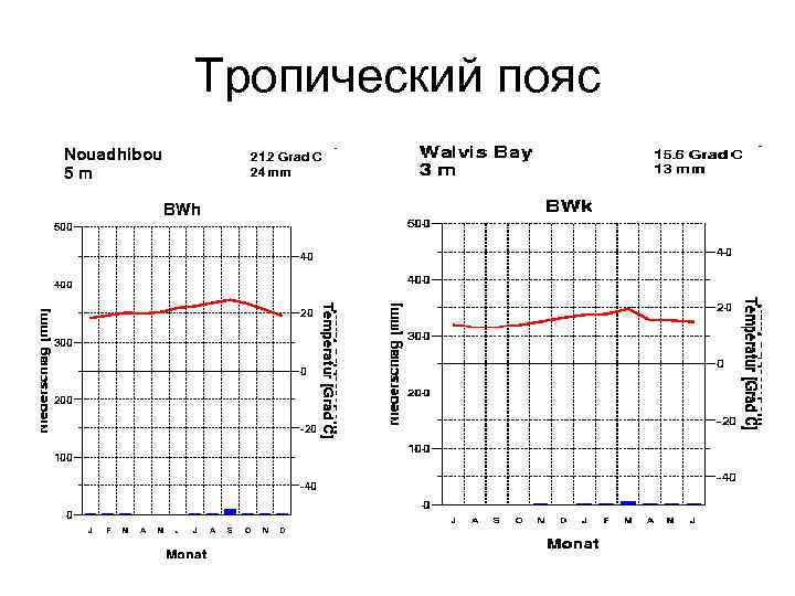 Тропический пояс 
