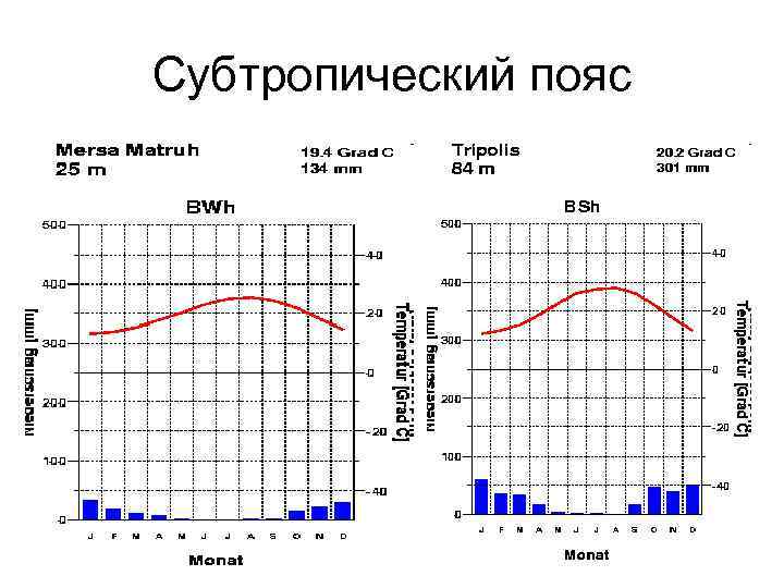 Субтропический пояс 