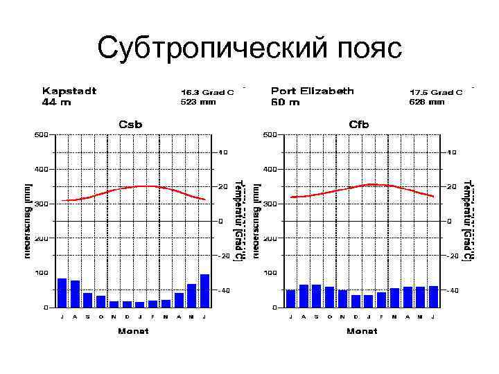 Субтропический пояс 