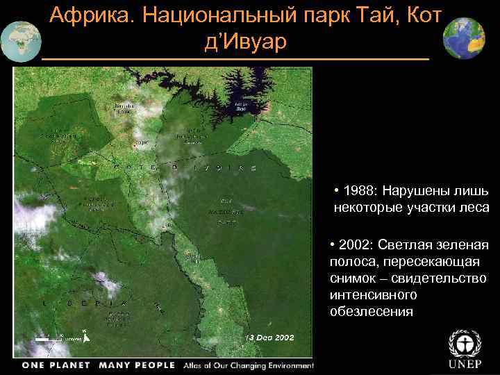 Африка. Национальный парк Тай, Кот д’Ивуар • 1988: Нарушены лишь некоторые участки леса •