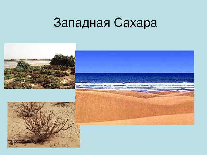 Западная Сахара 