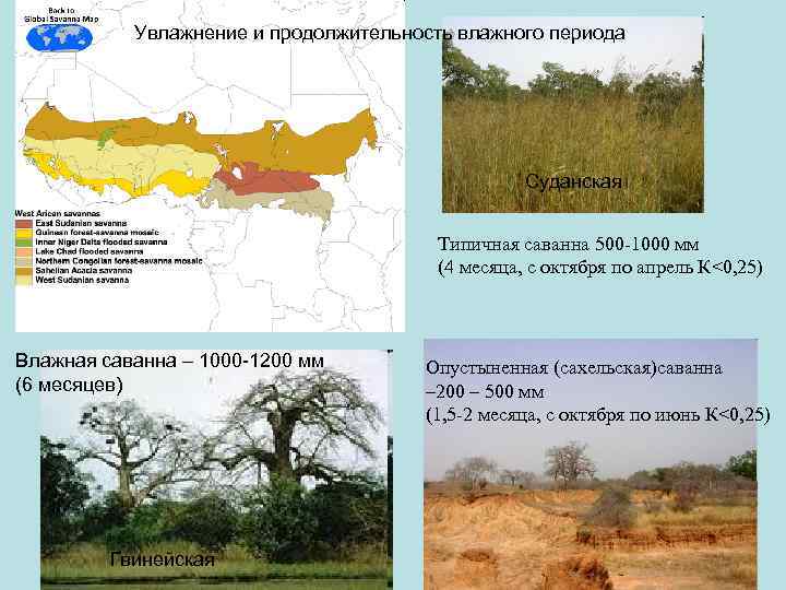 Природный комплекс саванны схема