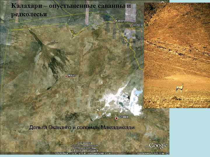 Калахари – опустыненные саванны и редколесья Дельта Окаванго и солончак Макгади 