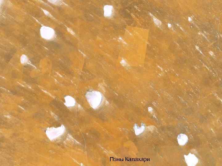 Пэны Калахари 