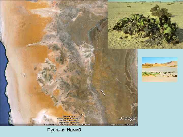 Пустыня Намиб 
