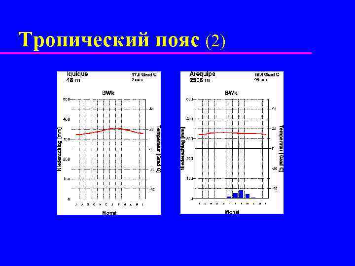 Тропический пояс (2) 