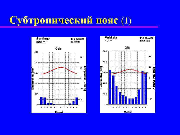 Субтропический пояс (1) 