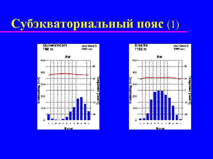 Субэкваториальный пояс (1) 