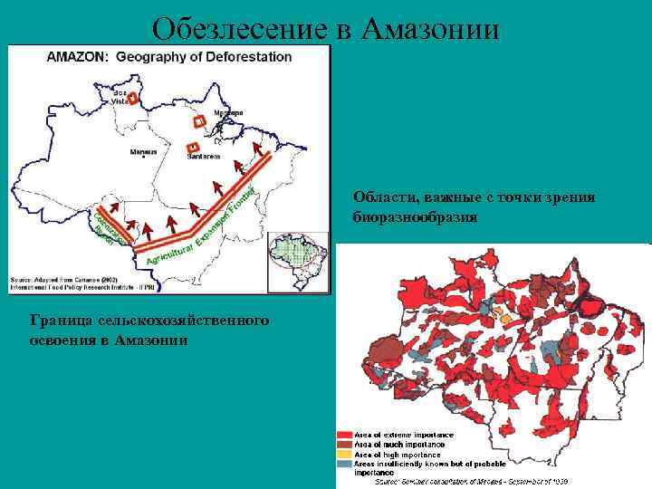 Обезлесение в Амазонии Области, важные с точки зрения биоразнообразия Граница сельскохозяйственного освоения в Амазонии