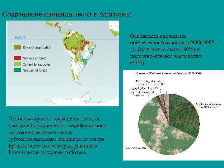 Сокращение площади лесов в Амазонии Основными причинами обезлесения Амазонии в 2000 -2005 гг. были