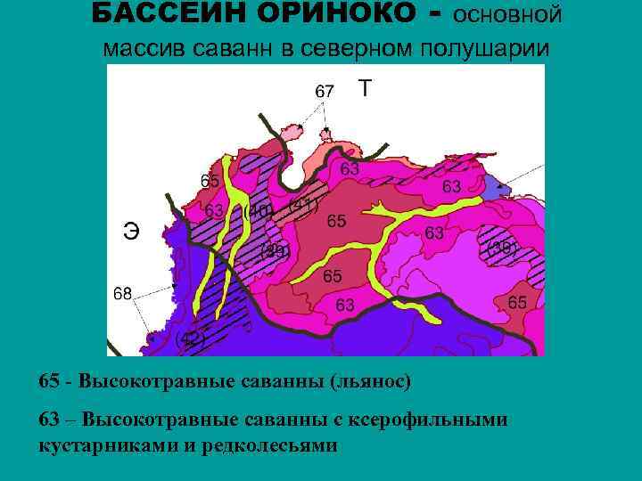 БАССЕЙН ОРИНОКО - основной массив саванн в северном полушарии Южной Америки 65 - Высокотравные