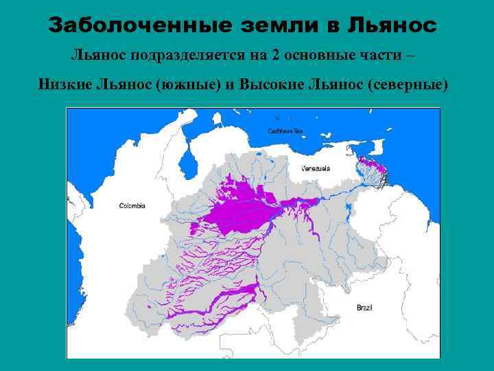 Заболоченные земли в Льянос подразделяется на 2 основные части – Низкие Льянос (южные) и