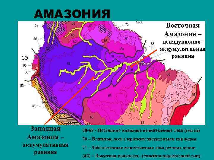 АМАЗОНИЯ Восточная Амазония – денадуционноаккумулятивная равнина Западная Амазония – аккумулятивная равнина 68 -69 -