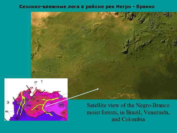 Сезонно-влажные леса в районе рек Негро - Бранко Satellite view of the Negro-Branco moist