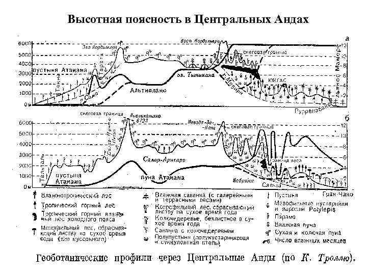 По рисунку 114 расскажите об особенностях высотной поясности в андах