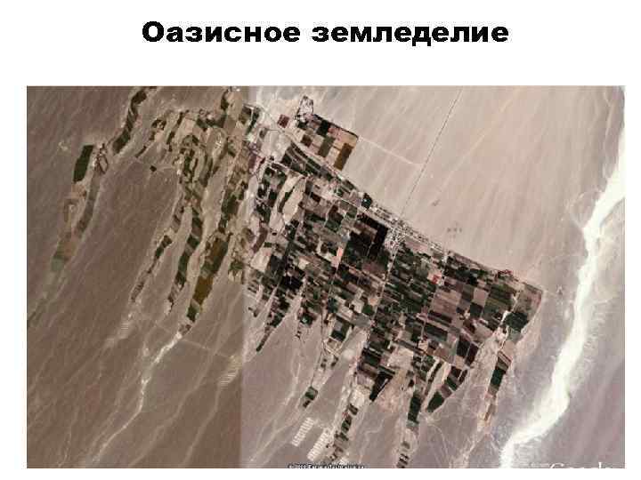 Оазисное земледелие 