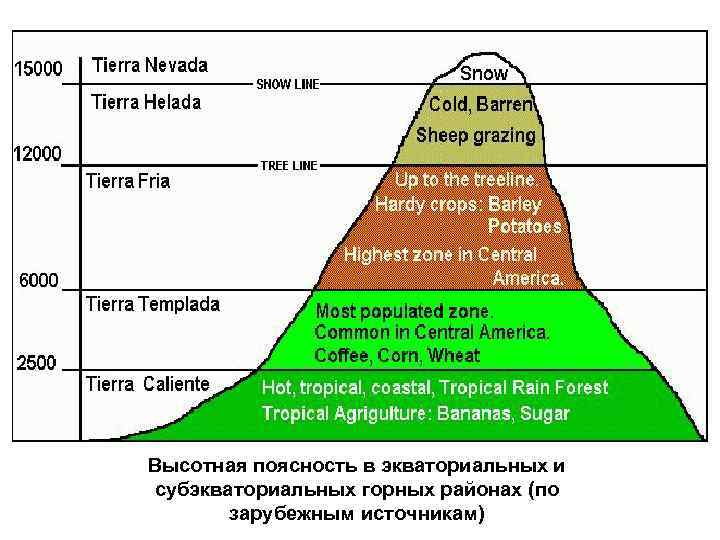 Высотная поясность в экваториальных и субэкваториальных горных районах (по зарубежным источникам) 