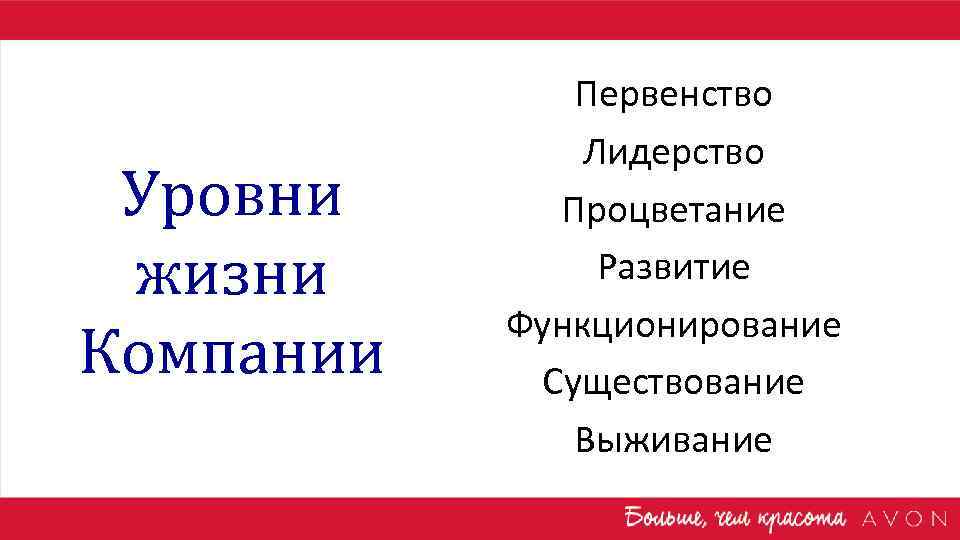 Уровни жизни Компании Первенство Лидерство Процветание Развитие Функционирование Существование Выживание 