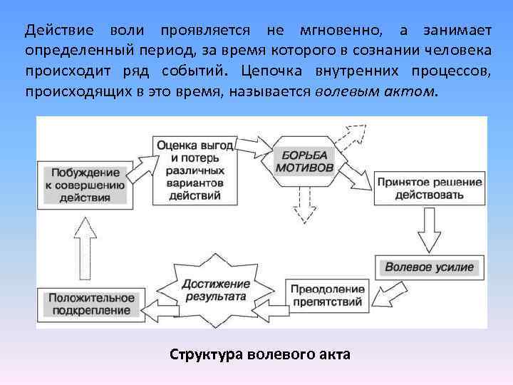 Действие воли проявляется не мгновенно, а занимает определенный период, за время которого в сознании