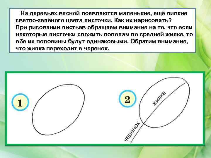 На деревьях весной появляются маленькие, ещё липкие светло зелёного цвета листочки. Как их нарисовать?