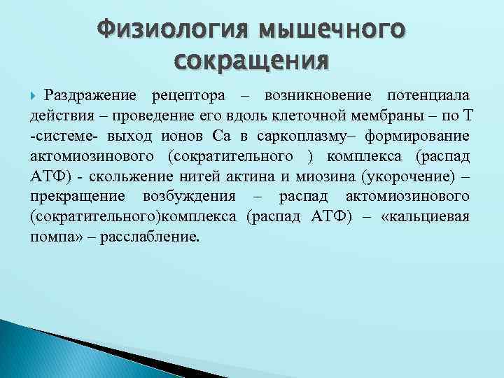 Физиология мышечного сокращения Раздражение рецептора – возникновение потенциала действия – проведение его вдоль клеточной