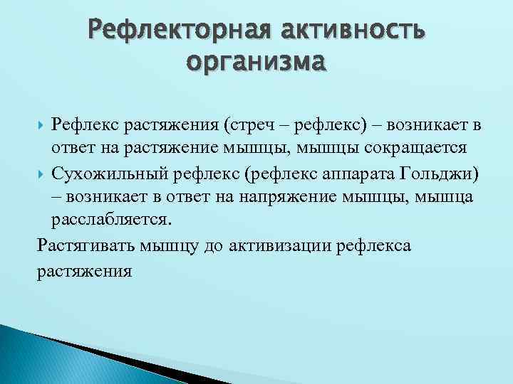 Рефлекторная активность организма Рефлекс растяжения (стреч – рефлекс) – возникает в ответ на растяжение