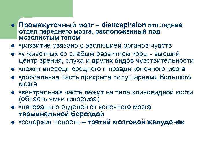 l Промежуточный мозг – diencephalon это задний l • развитие связано с эволюцией органов