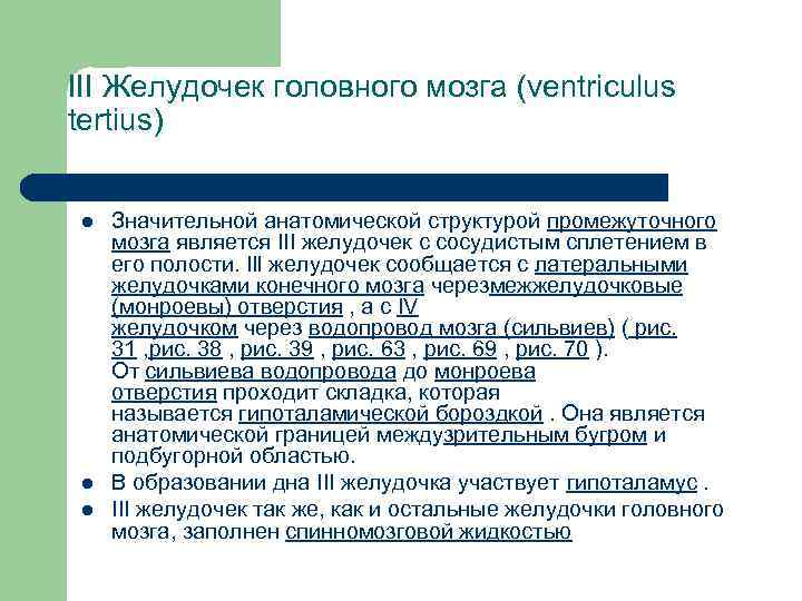 III Желудочек головного мозга (ventriculus tertius) l l l Значительной анатомической структурой промежуточного мозга
