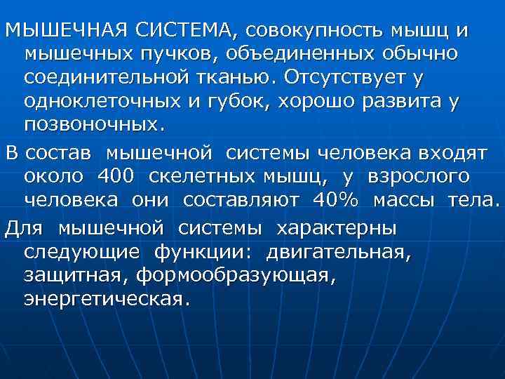 МЫШЕЧНАЯ СИСТЕМА, совокупность мышц и мышечных пучков, объединенных обычно соединительной тканью. Отсутствует у одноклеточных