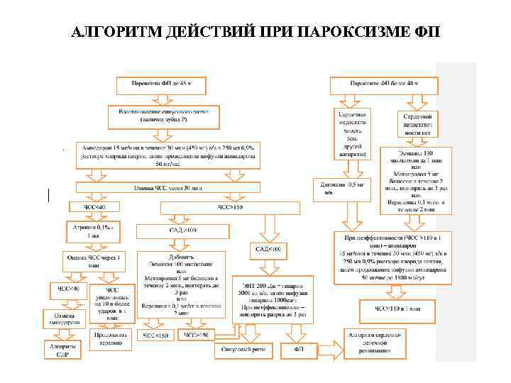 АЛГОРИТМ ДЕЙСТВИЙ ПРИ ПАРОКСИЗМЕ ФП 