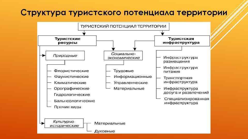 Структура туризма