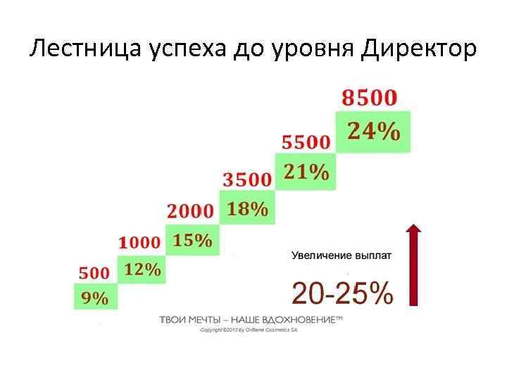 Лестница успеха до уровня Директор 