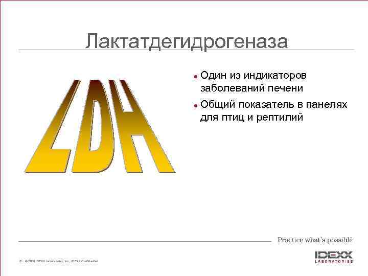 Лактатдегидрогеназа l l 16 © 2004 IDEXX Laboratories, Inc. , IDEXX Confidential Один из