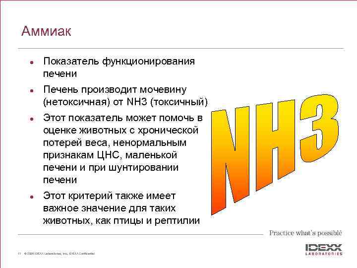 Аммиак l l 17 Показатель функционирования печени Печень производит мочевину (нетоксичная) от NH 3