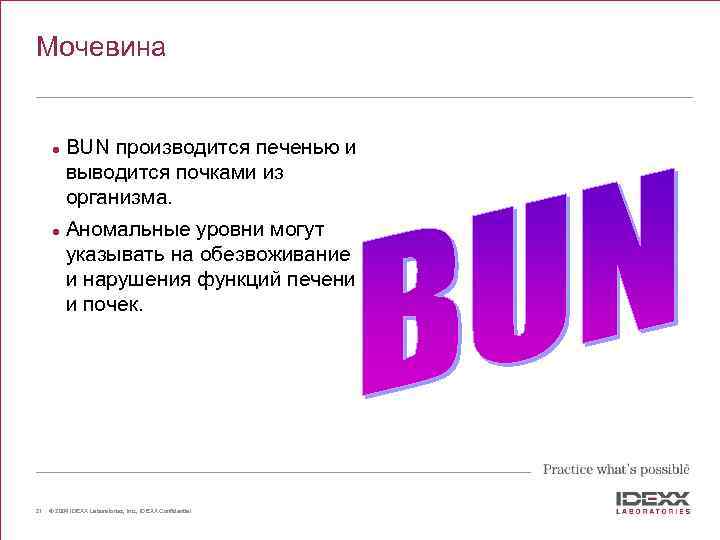 Мочевина l l 21 BUN производится печенью и выводится почками из организма. Аномальные уровни