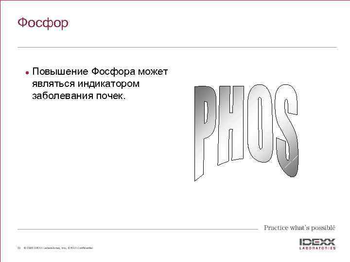 Фосфор l 22 Повышение Фосфора может являться индикатором заболевания почек. © 2004 IDEXX Laboratories,