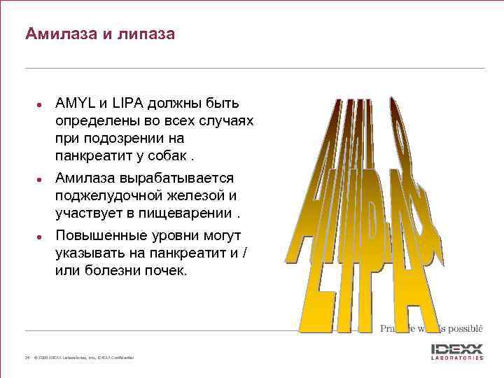 Амилаза и липаза l l l 25 AMYL и LIPA должны быть определены во