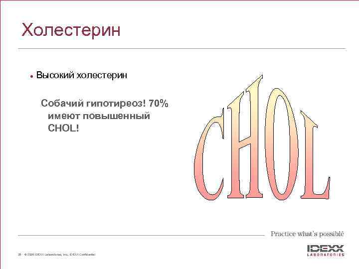 Холестерин l Высокий холестерин Собачий гипотиреоз! 70% имеют повышенный CHOL! 26 © 2004 IDEXX