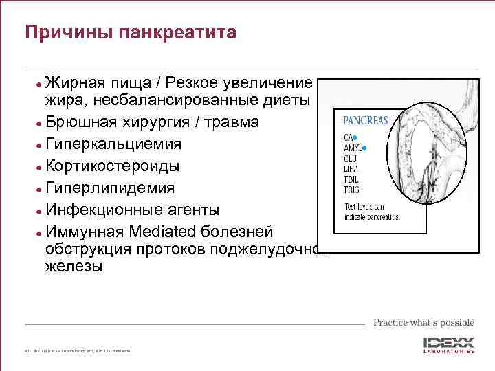 Причины панкреатита Жирная пища / Резкое увеличение жира, несбалансированные диеты l Брюшная хирургия /